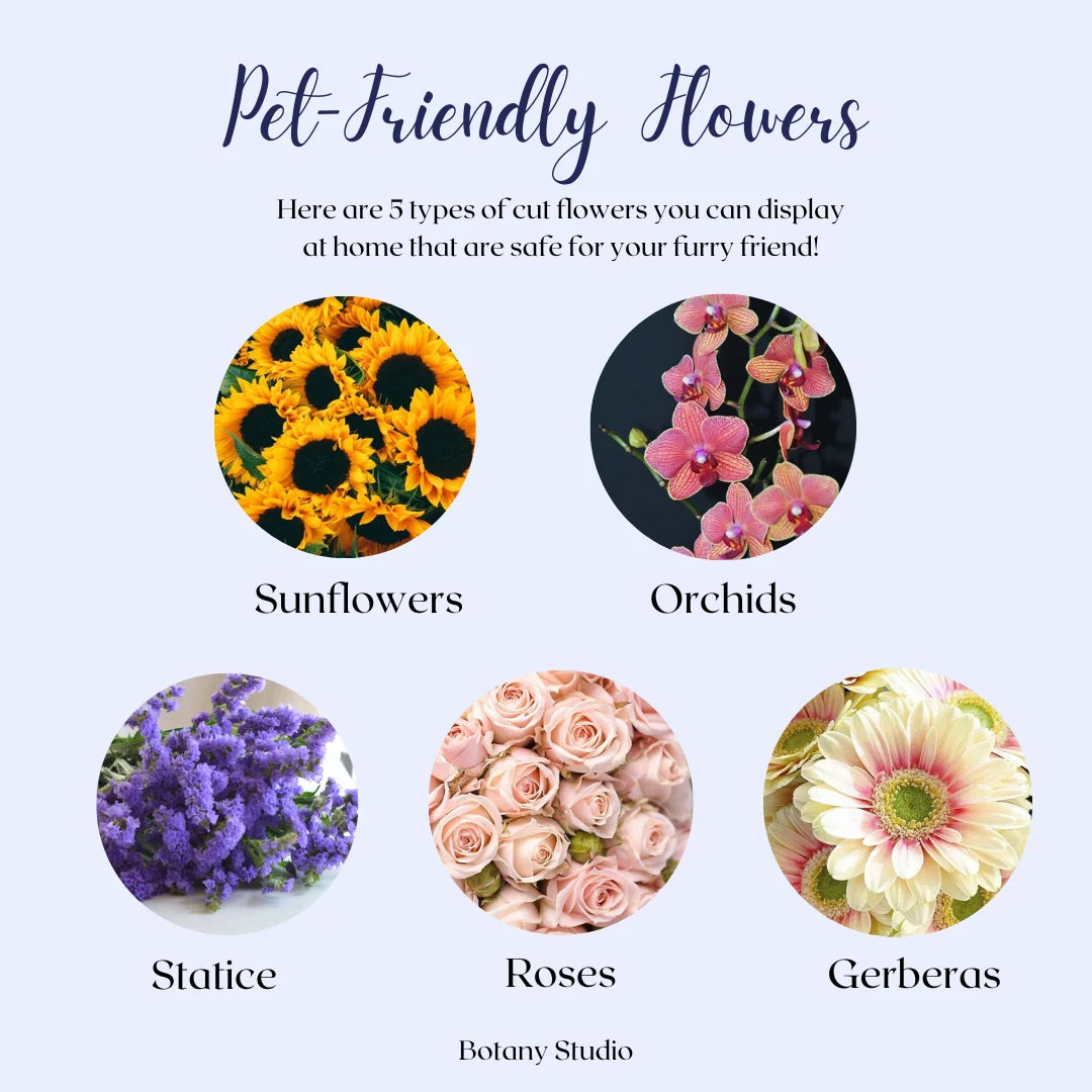 Pet Friendly Flowers