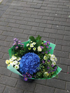 Florist’s Choice Hand-Tied Bouquet